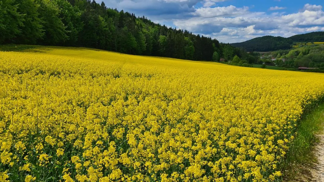 All Senses Ferienwohnung Hirschbach  Lägenhet Hirschbach (Bavaria)